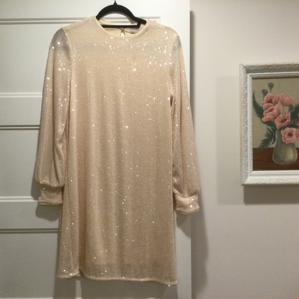 Cream Sequined Long Sleeve Dress